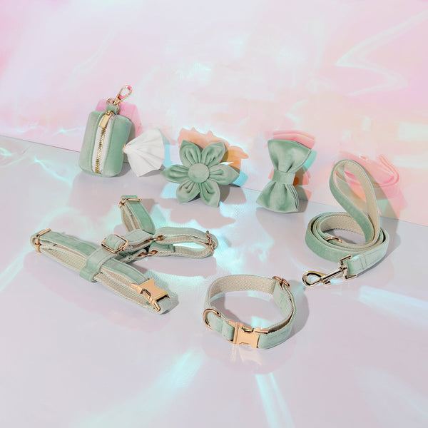 Petspuff Step-In Floral Harness Bundle – Light Mint Green | Pack of 6 | Dog & Cat