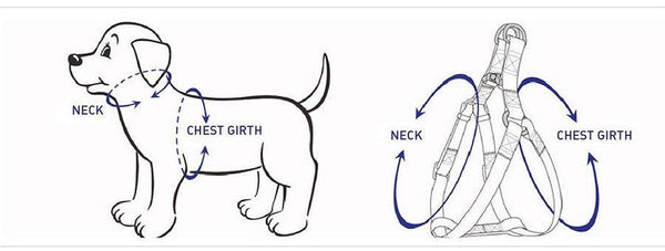 Petspuff Step-In Floral Harness Bundle – Peacock Blue | Pack of 6 | Dog & Cat