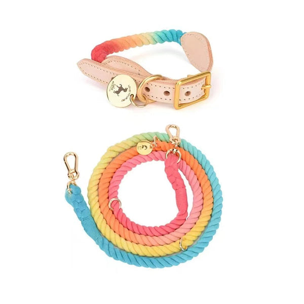 Petspuff Hands-Free Rope Leash & Luxe Leather Collar Bundle – Classic Rainbow | Handmade