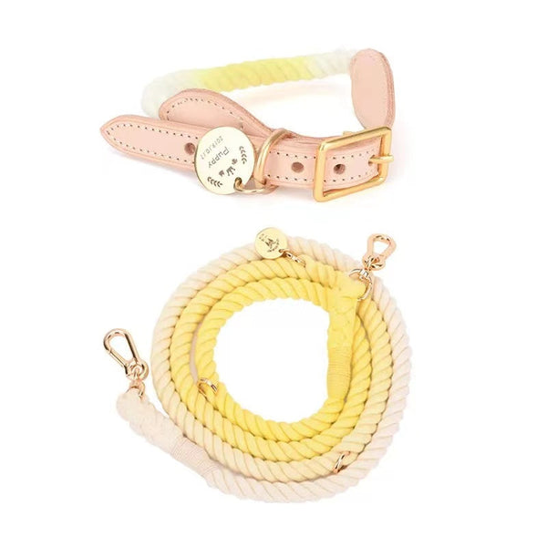 Petspuff Hands-Free Rope Leash & Luxe Leather Collar Bundle – Lemon Squeeze | Handmade