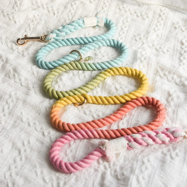Petspuff Sweet Lollie Cotton Rope Dog Lead – Handmade 5ft Leash with Solid Brass Hardware