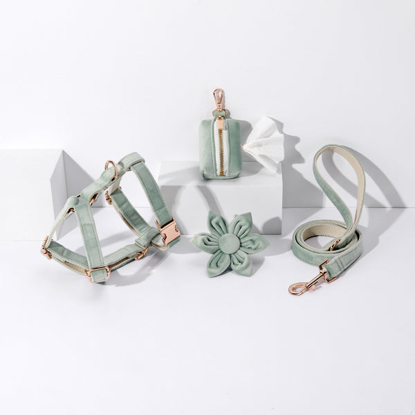 Petspuff Step-In Floral Harness Bundle – Light Mint Green | Pack of 4 | Dog & Cat