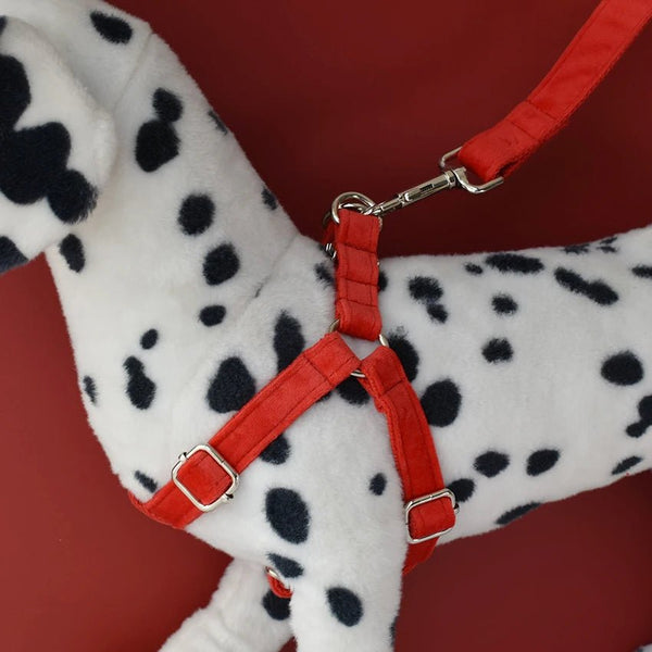 Petspuff Personalised Velvet Dog Harness & Lead – Engraved Nameplate, Silver Hardware | S–XL