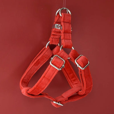 Petspuff Personalised Velvet Dog Harness & Lead – Engraved Nameplate, Silver Hardware | S–XL - Petspuff
