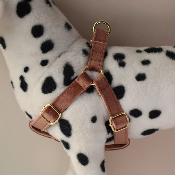 Petspuff Velvet Dog Harness, Lead & Poop Bag Holder – Gold Hardware | Small to Large Dogs