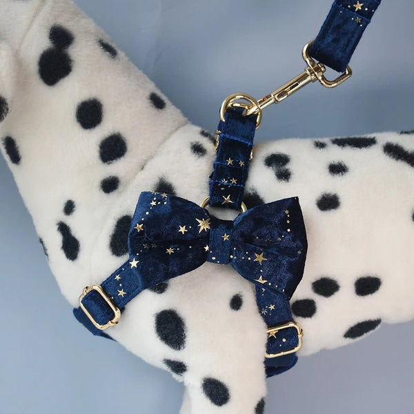 Petspuff Personalised Bow Dog Harness & Lead – Engraved ID Tag, Gold Hardware | S–XL