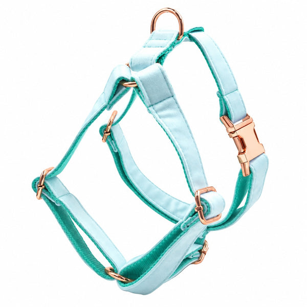 Petspuff Step-In Dog & Cat Harness Ice Blue | Adjustable | Lightweight