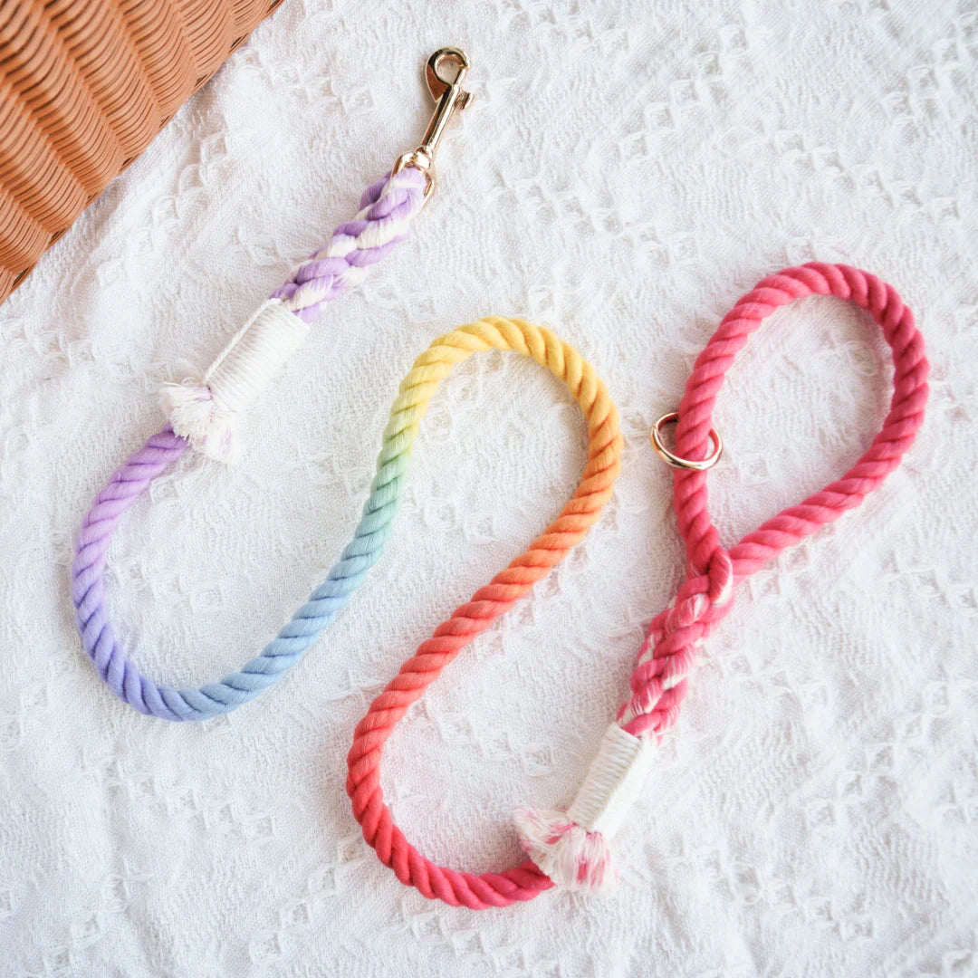 Petspuff Dream Rainbow Cotton Rope Dog Lead – Handmade 5ft Leash with Solid Brass Hardware