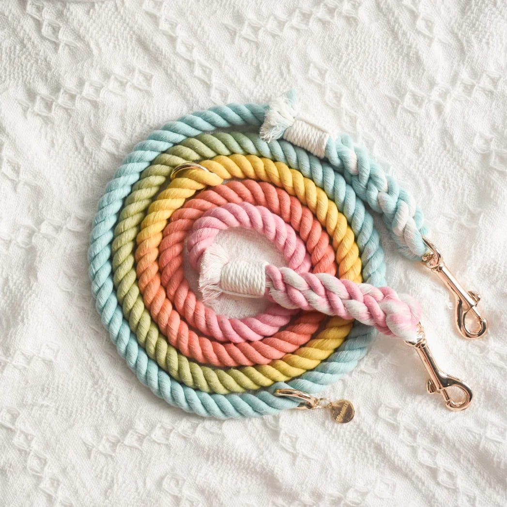 Petspuff Sweet Lollie Cotton Rope Dog Lead – Handmade 5ft Leash with Solid Brass Hardware