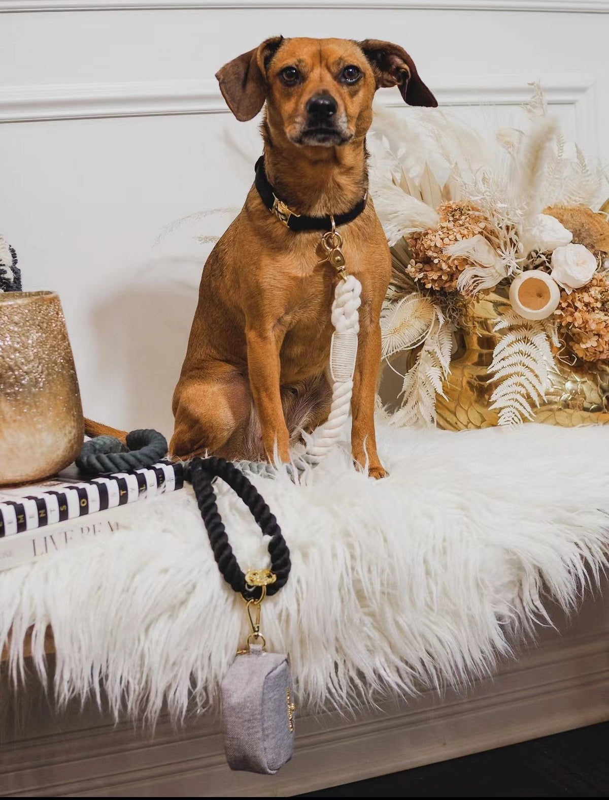 Petspuff Golden Garden Cotton Rope Dog Lead & Collar Set – Handmade Matching Leash, Solid Brass