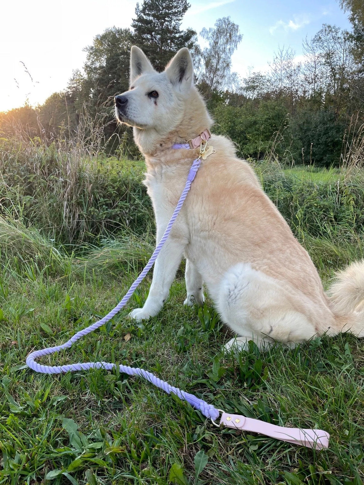 Petspuff Spring Luxe Leather & Cotton Rope Dog Lead – Handmade 5ft Leash, Solid Brass
