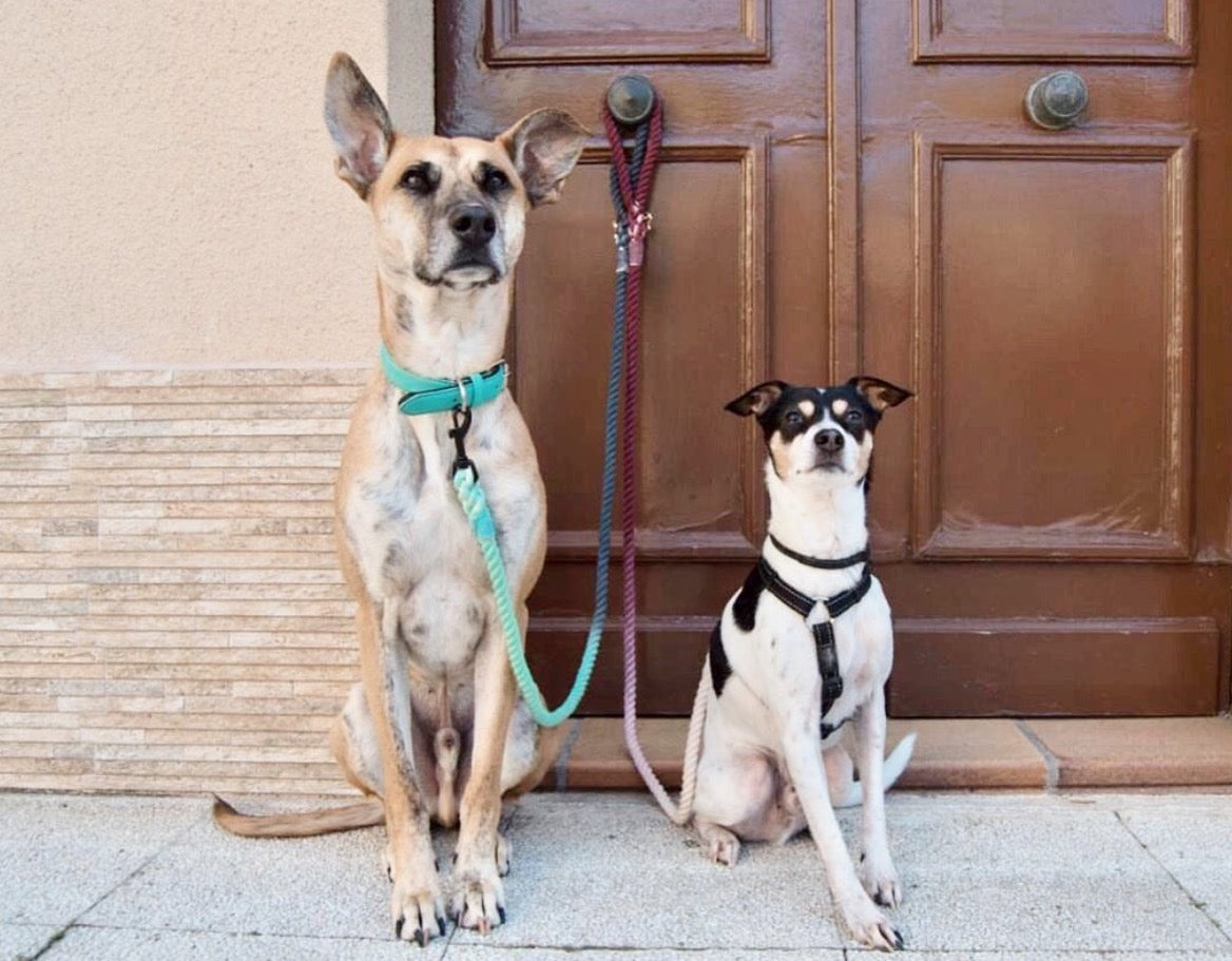 ROPE LEASH - OMBRE LIGHT BROWN-1