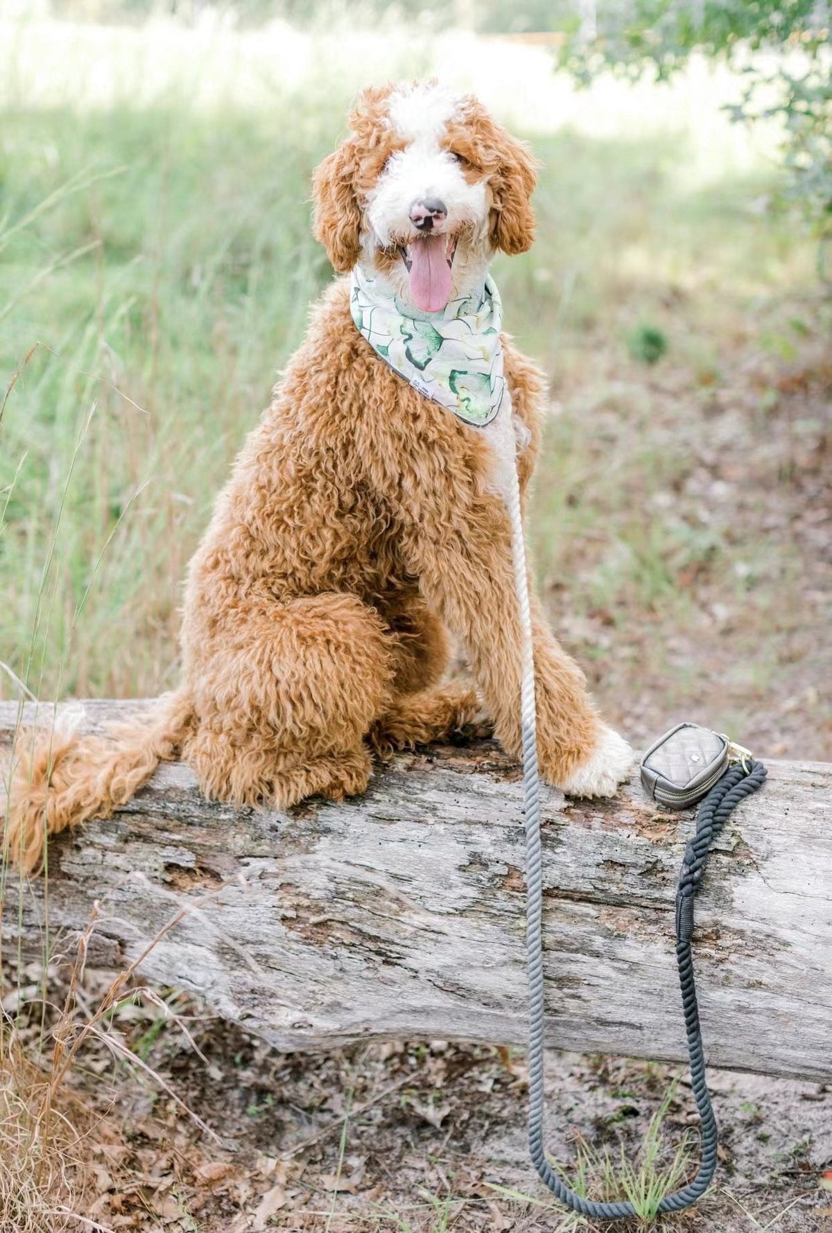 Petspuff Classic Love Luxe Leather & Cotton Rope Dog Lead – Handmade 5ft Leash, Solid Brass