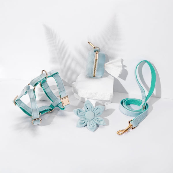 Petspuff Step-In Floral Harness Bundle – Mint Green | Pack of 4 | Dog & Cat