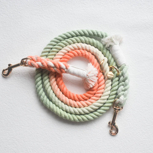 HANDS FREE DOG ROPE LEASH - BUBBLE SODA-0