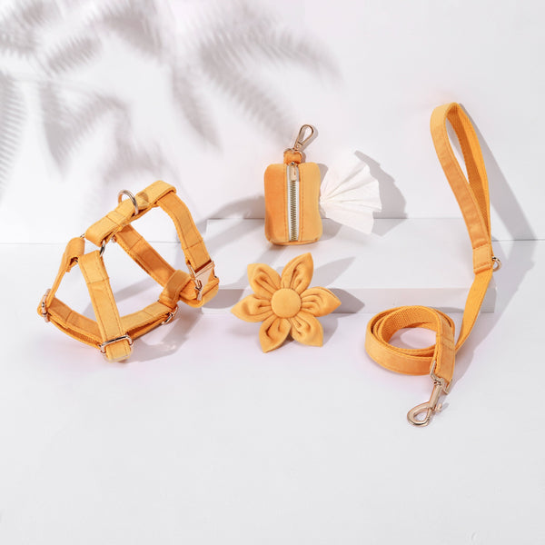 Petspuff Step-In Floral Harness Bundle – Light Orange | Pack of 4 | Dog & Cat