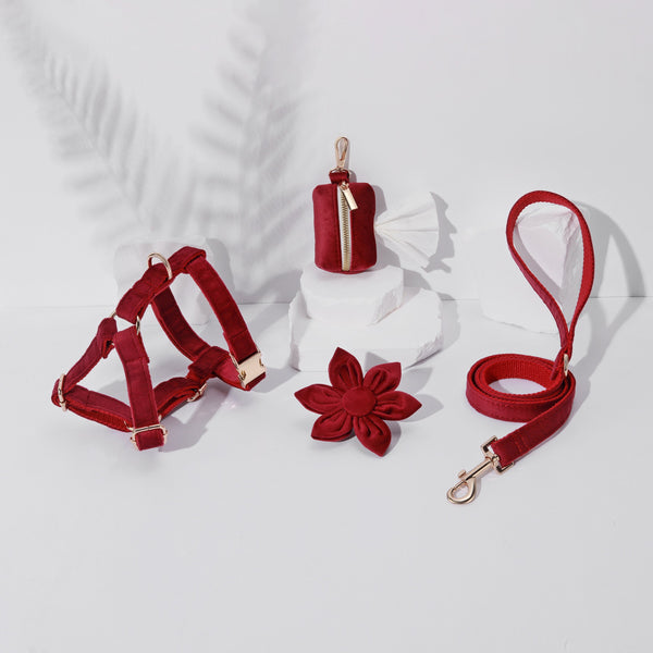 Petspuff Step-In Floral Harness Bundle – Burgundy | Pack of 4 | Dog & Cat