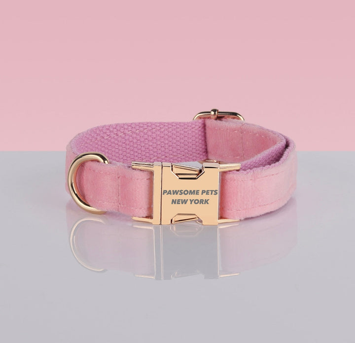 PAWSOME DOG COLLAR - #3