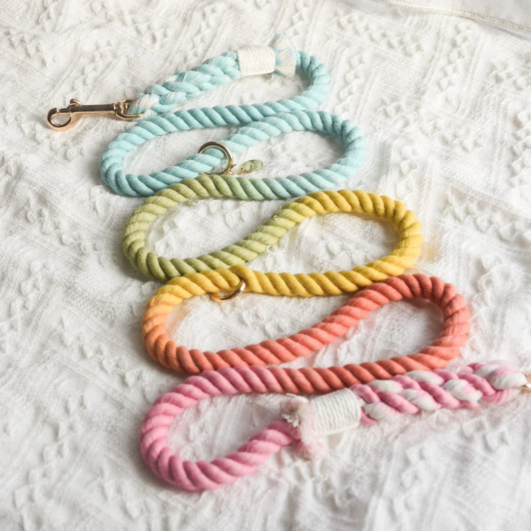 Petspuff Sweet Lollie Cotton Rope Dog Lead – Handmade 5ft Leash with Solid Brass Hardware