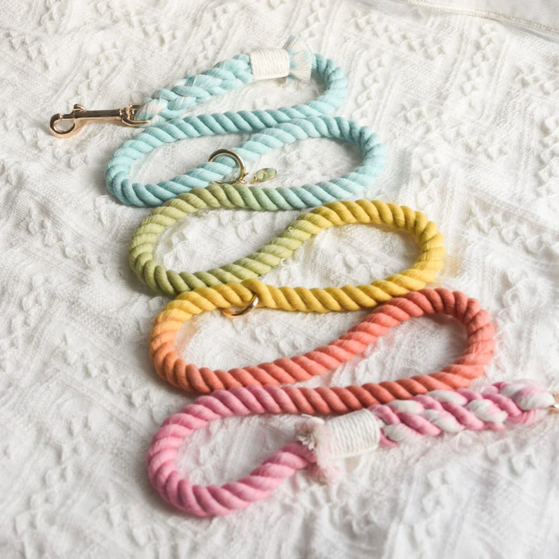 LEASHES
