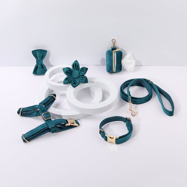 Petspuff Step-In Floral Harness Bundle – Peacock Blue | Pack of 6 | Dog & Cat