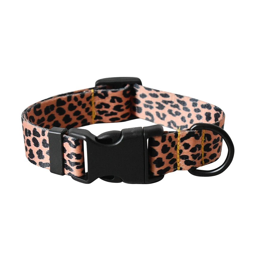 Petspuff Personalised Printed Nylon Dog Collar – Engraved Name Plate | 15 Designs, S–XL