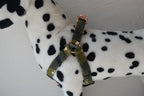 Petspuff Personalised Printed Dog Harness – Engraved ID Tag | 17 Designs, Small & Medium Dogs