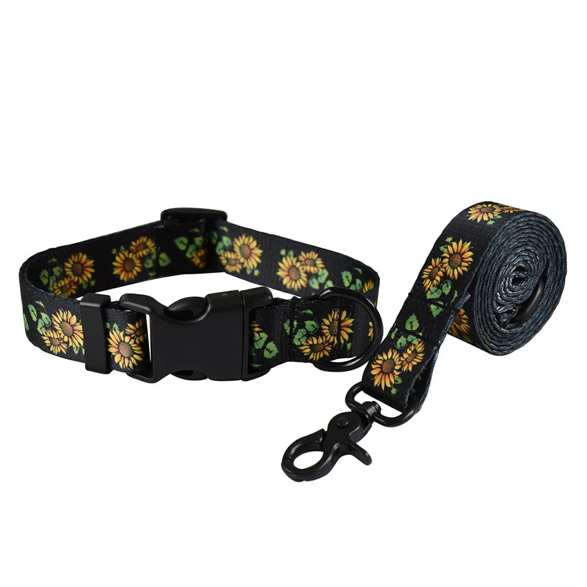 Petspuff Braided Rope Dog Collar & Lead Set – Training & Walking Lead for Small & Medium Dogs | S–XL
