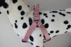 Petspuff Personalised Printed Dog Harness – Engraved ID Tag | 17 Designs, Small & Medium Dogs