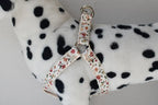 Petspuff Personalised Printed Dog Harness – Engraved ID Tag | 17 Designs, Small & Medium Dogs