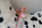 Petspuff Personalised Printed Dog Harness – Engraved ID Tag | 17 Designs, Small & Medium Dogs