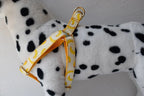 Petspuff Personalised Printed Dog Harness – Engraved ID Tag | 17 Designs, Small & Medium Dogs