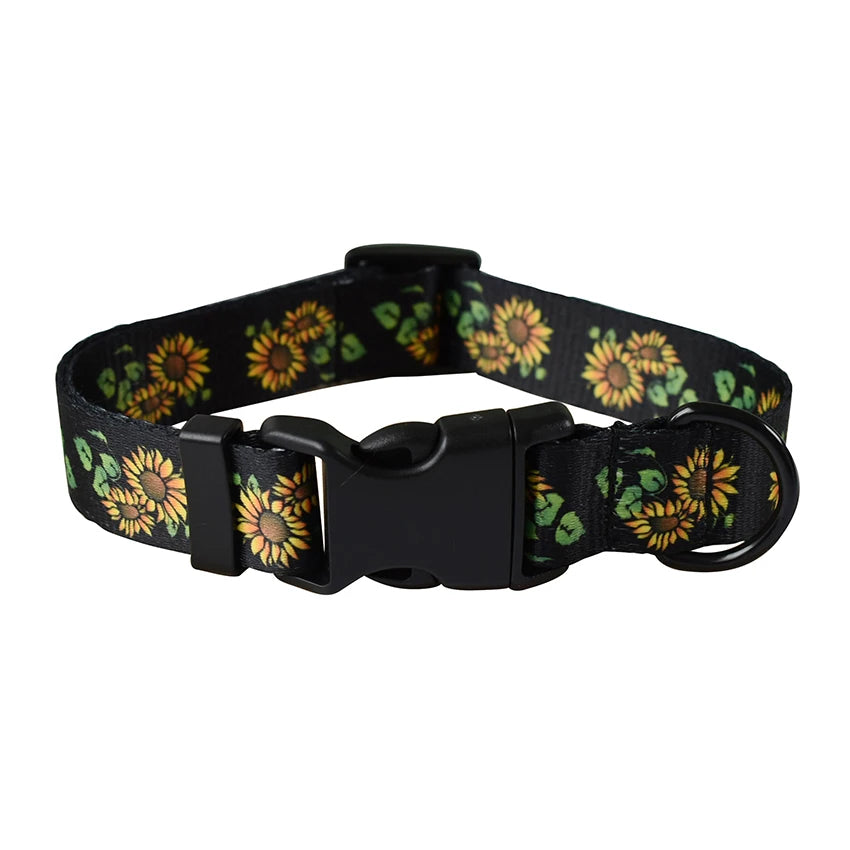 Petspuff Braided Rope Dog Collar & Lead Set – Training & Walking Lead for Small & Medium Dogs | S–XL