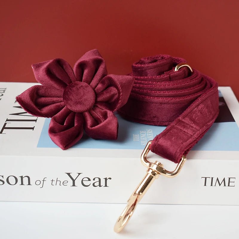 Petspuff Personalised Velvet Dog Collar with Flower or Bow & Lead – Gold Buckle, Engraved Name Tag - Petspuff