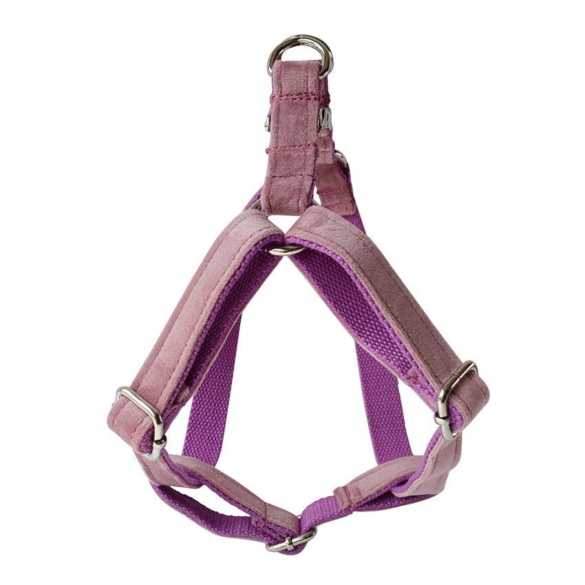 Petspuff Personalised Printed Dog Harness – Engraved ID Tag | 17 Designs, Small & Medium Dogs