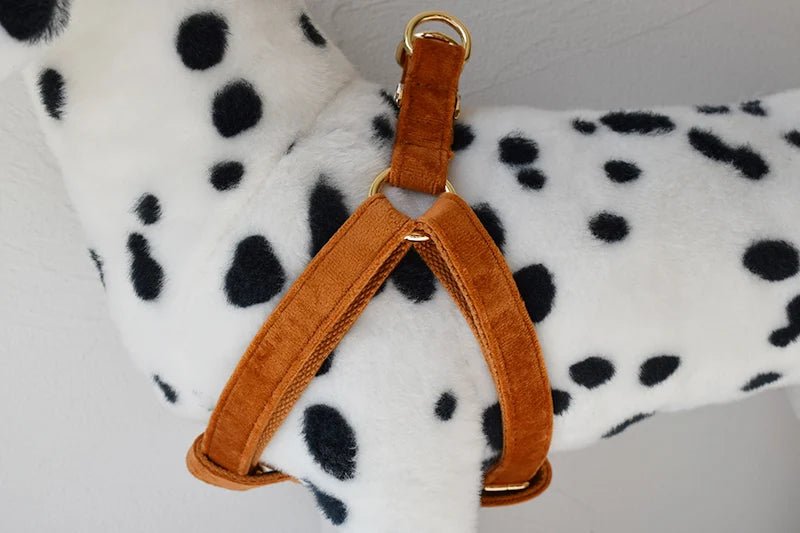 Petspuff Personalised Printed Dog Harness – Engraved ID Tag | 17 Designs, Small & Medium Dogs