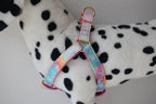 Petspuff Personalised Printed Dog Harness – Engraved ID Tag | 17 Designs, Small & Medium Dogs