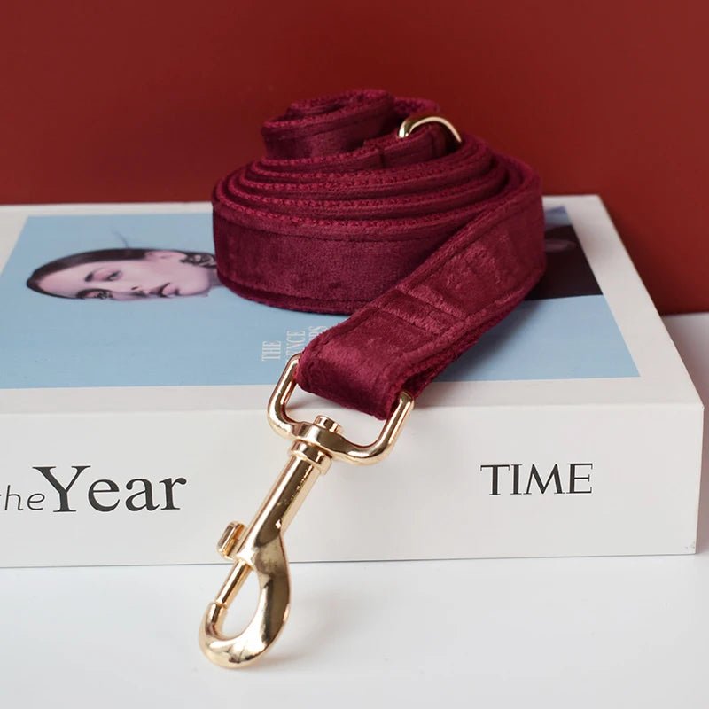 Petspuff Personalised Velvet Dog Collar with Flower or Bow & Lead – Gold Buckle, Engraved Name Tag - Petspuff