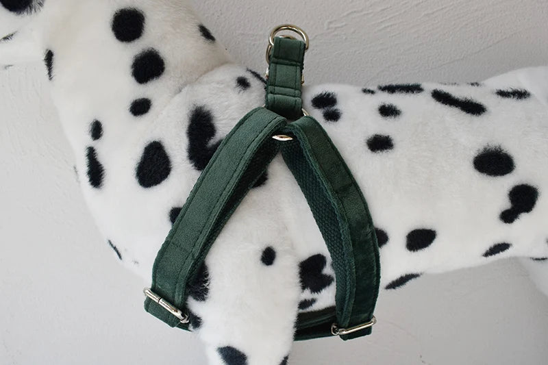 Petspuff Personalised Printed Dog Harness – Engraved ID Tag | 17 Designs, Small & Medium Dogs