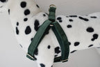 Petspuff Personalised Printed Dog Harness – Engraved ID Tag | 17 Designs, Small & Medium Dogs