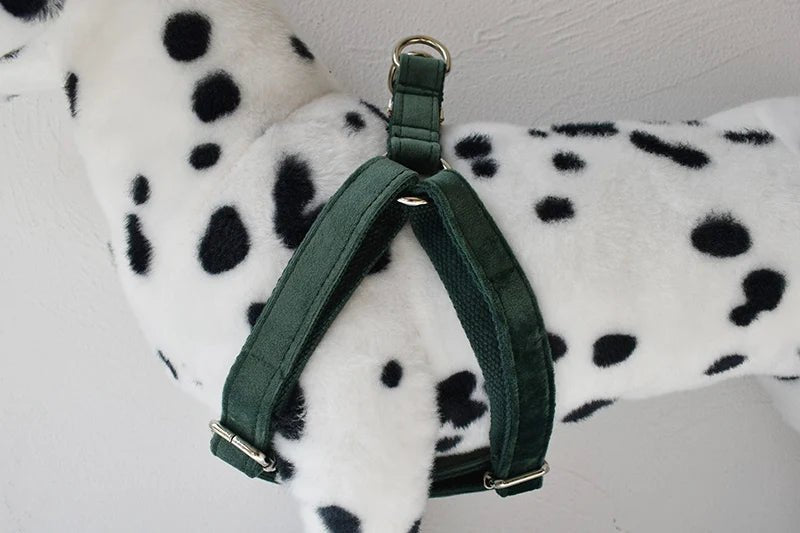 Petspuff Personalised Printed Dog Harness – Engraved ID Tag | 17 Designs, Small & Medium Dogs