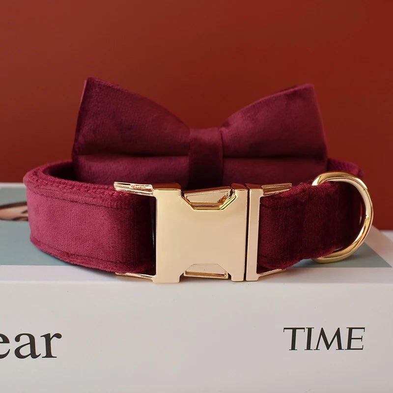 Petspuff Personalised Velvet Dog Collar with Flower or Bow & Lead – Gold Buckle, Engraved Name Tag - Petspuff