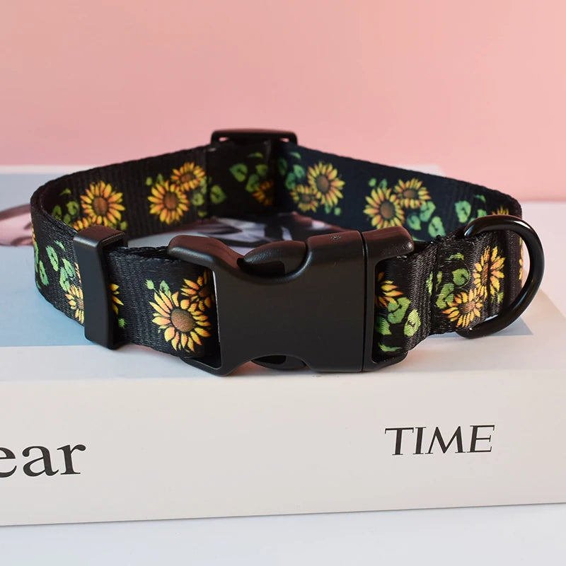 Petspuff Braided Rope Dog Collar & Lead Set – Training & Walking Lead for Small & Medium Dogs | S–XL