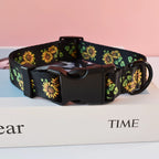 Petspuff Braided Rope Dog Collar & Lead Set – Training & Walking Lead for Small & Medium Dogs | S–XL