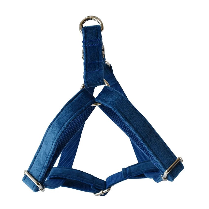 Petspuff Personalised Printed Dog Harness – Engraved ID Tag | 17 Designs, Small & Medium Dogs
