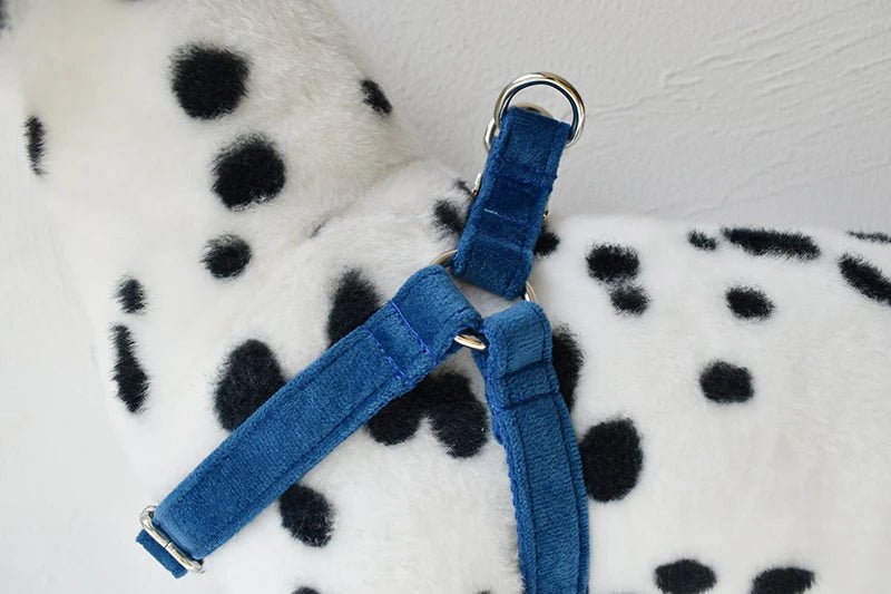 Petspuff Personalised Printed Dog Harness – Engraved ID Tag | 17 Designs, Small & Medium Dogs