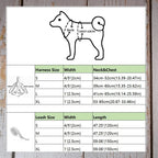 Petspuff Personalised Plaid Dog Harness & Lead with Bow – Engraved ID Tag | Christmas Dog Harness - Petspuff