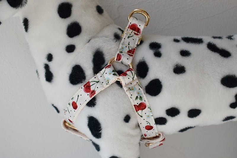 Petspuff Personalised Printed Dog Harness – Engraved ID Tag | 17 Designs, Small & Medium Dogs