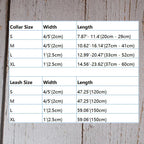 Petspuff Personalised Pink Print Dog Collar & Lead for Medium & Large Dogs – Engraved Name Tag & Bow