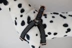Petspuff Personalised Printed Dog Harness – Engraved ID Tag | 17 Designs, Small & Medium Dogs